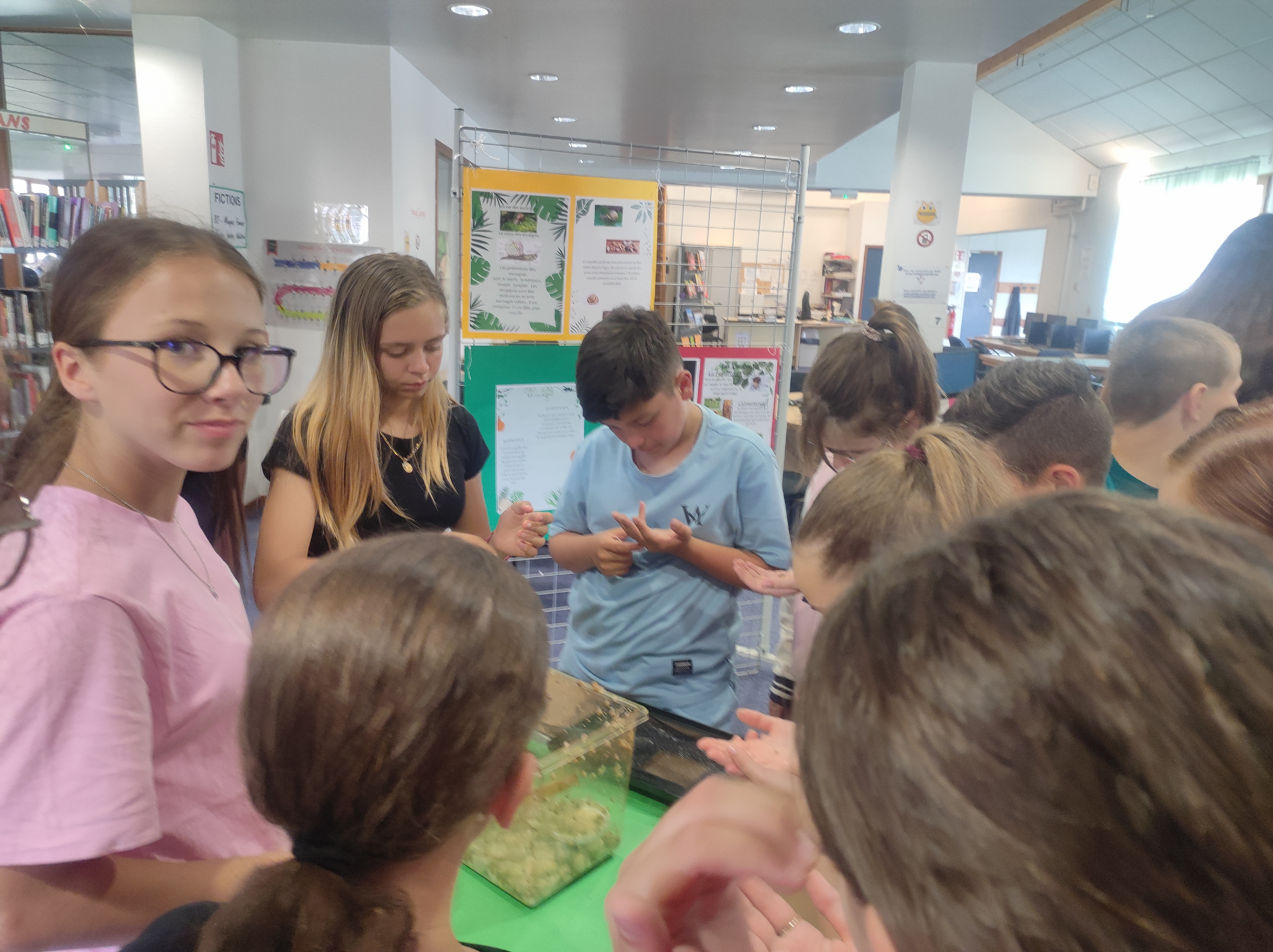 Exposition élevage escargots