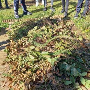 255931866_1190314504710769_5291810437033173135_n_original