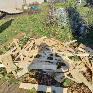 255964201_1190314561377430_2023221820021616269_n_original