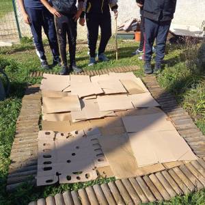 256614164_1189968088078744_765991246557881942_n_original