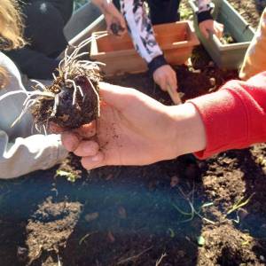 256671528_1190314348044118_1594475252125714312_n_original