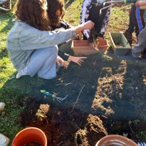 257474612_1190313941377492_6592490261015298313_n_original