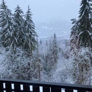 273103712_1241046819637537_5103428370465096070_n_original