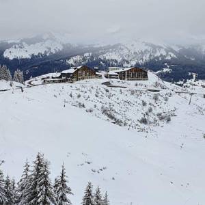 273511338_1241046616304224_8651065231500366552_n_original