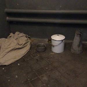 51904FB1-92A0-409D-A0C4-25308366F9A1_original