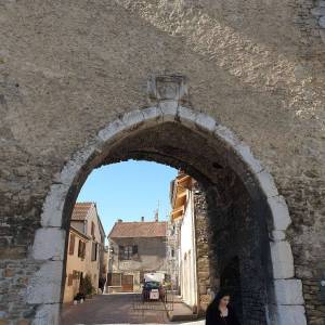 safari-photo_2_original