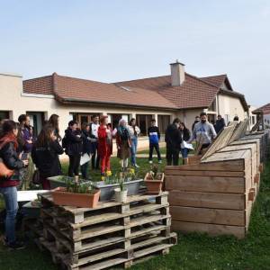 compost_JT4_original