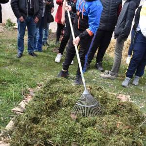 compost_JT_1_original