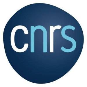 logo_cnrs_original