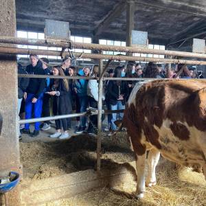 277768410_1280818302327055_5351959325106725862_n_original