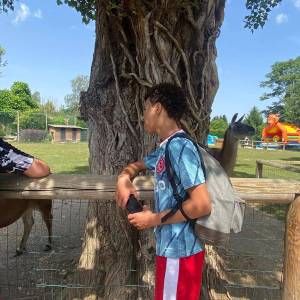 IMG-20220616-WA0004_original