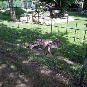 IMG_20220616_105000_original