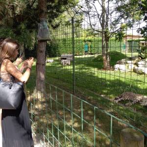 IMG_20220616_105006_original