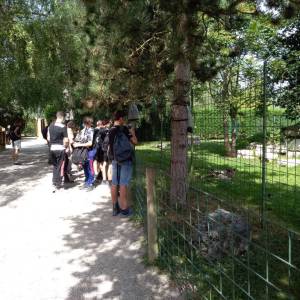 IMG_20220616_105129_original