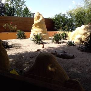 IMG_20220616_110528_original