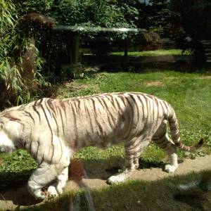 IMG_20220616_110901_original