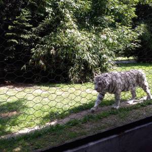 IMG_20220616_110939_original