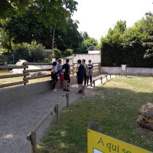 IMG_20220616_112058_original