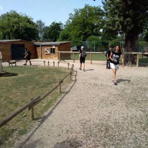 IMG_20220616_112108_original