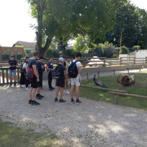 IMG_20220616_112240_original