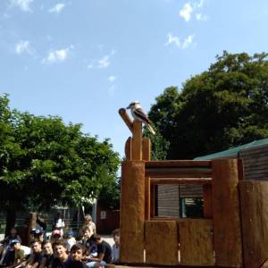 IMG_20220616_114028_original