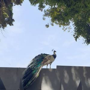 20220614_154512_original