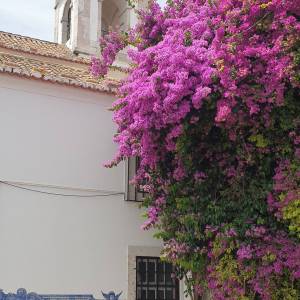 20220618_111247_original