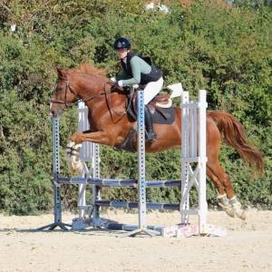 IMG-20221002-WA0021_original