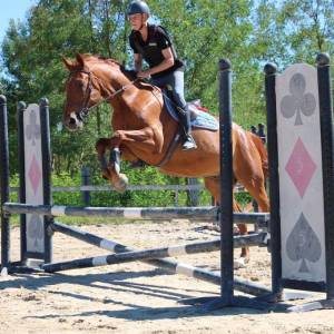 IMG-20221002-WA0022_original