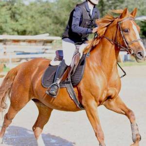 IMG-20221002-WA0025_original