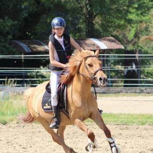 IMG-20221002-WA0028_original