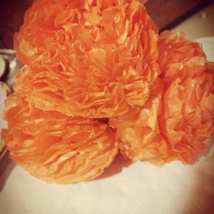 IMG_20221020_160246_edit_2495446194134841_original