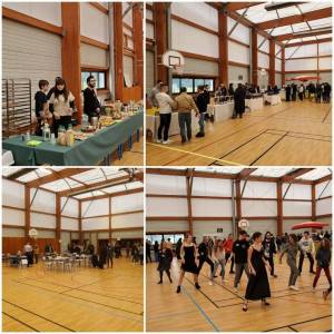 PO_4_mars_collage_4_original