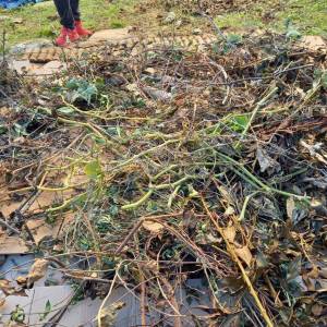 IMG-20221109-WA0002_original