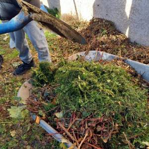 IMG-20221109-WA0003_original