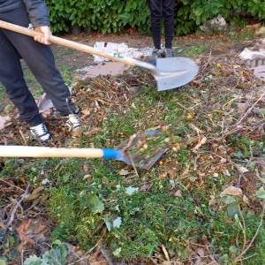 IMG-20221109-WA0004_original