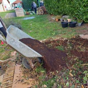 IMG-20221109-WA0006_original