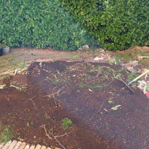 IMG-20221109-WA0007_original