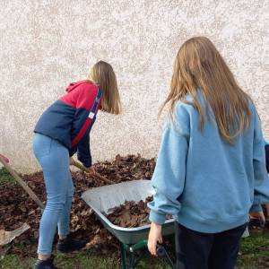 IMG-20221109-WA0009_original