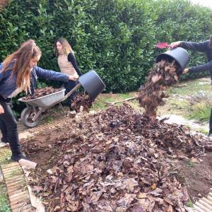 IMG-20221109-WA0011_original