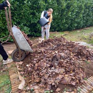 IMG-20221109-WA0012_original