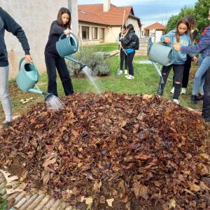 IMG-20221109-WA0013_original