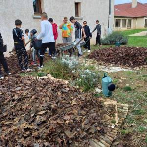 IMG-20221109-WA0016_original