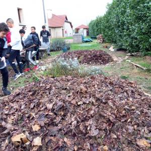 IMG-20221109-WA0017_original