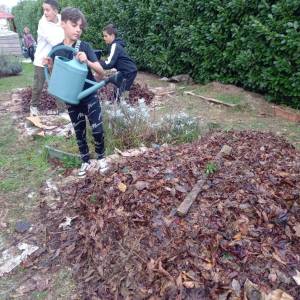 IMG-20221109-WA0018_original