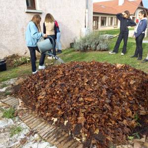 IMG-20221109-WA0019_original