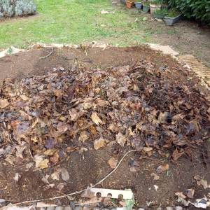 IMG-20221109-WA0020_original