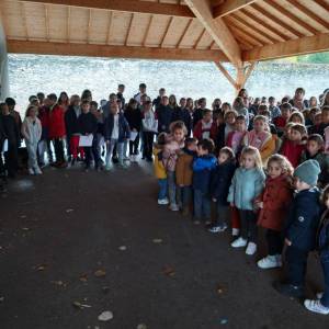 IMG-20221124-WA0002_original