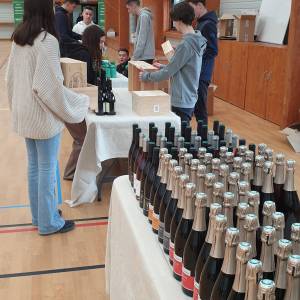 20230303_151753_original