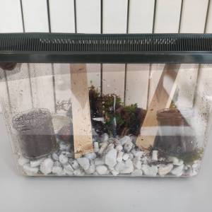 IMG_20230310_161613_original